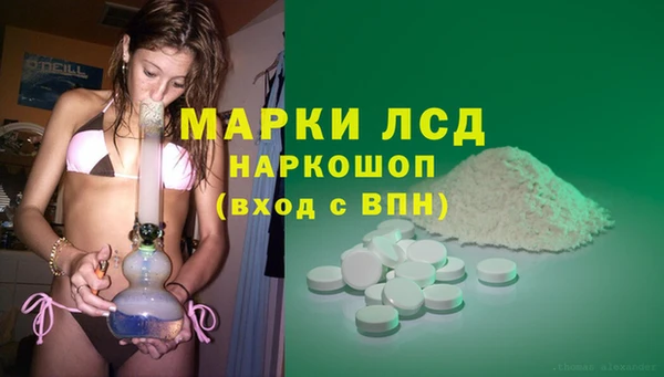 спайс Аркадак