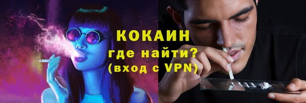 спайс Аркадак