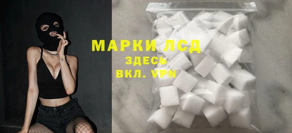 спайс Аркадак